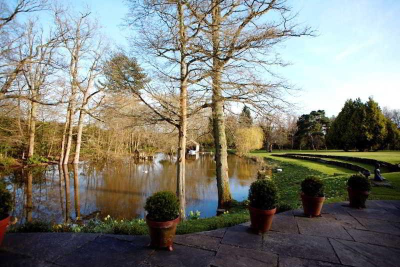 Shoyswell Cottage Hurst Green  Esterno foto