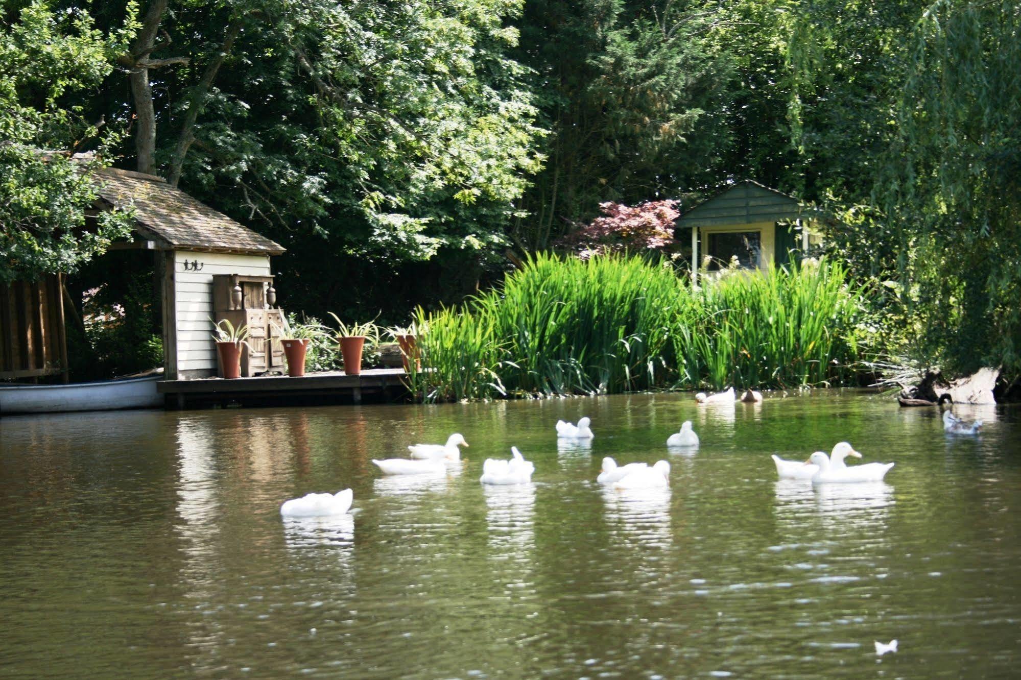 Shoyswell Cottage Hurst Green  Esterno foto