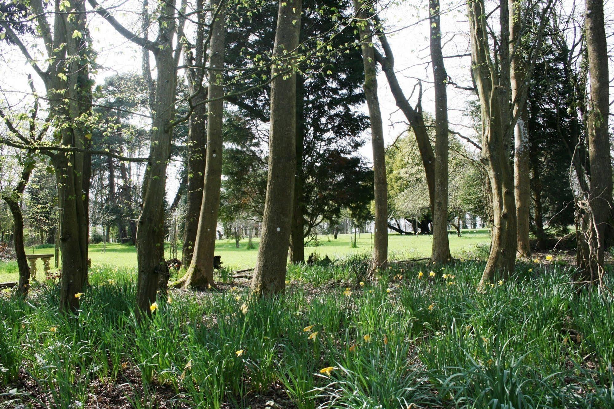 Shoyswell Cottage Hurst Green  Esterno foto