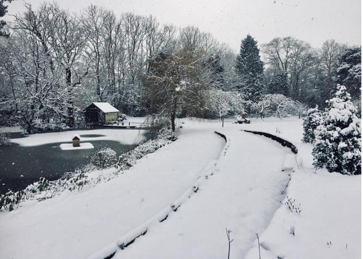 Shoyswell Cottage Hurst Green  Esterno foto